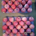 Gute Qualität von frischem Qinguan Apple